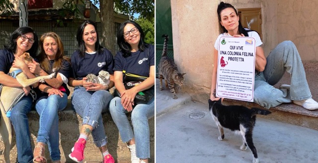 Niscemi. “Ability art" onlus colloca segnaletica per indicare la presenza di "colonie feline"